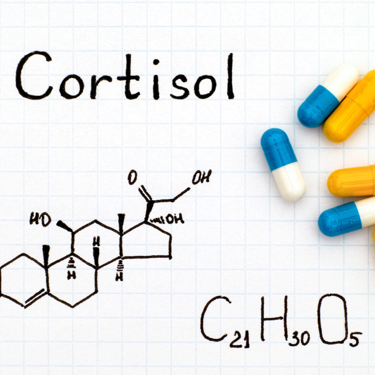 The Complete Guide on Cortisol – PrimeGENIX
