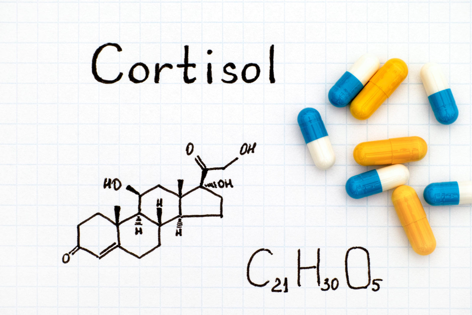 The Complete Guide on Cortisol