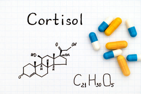 The Complete Guide on Cortisol