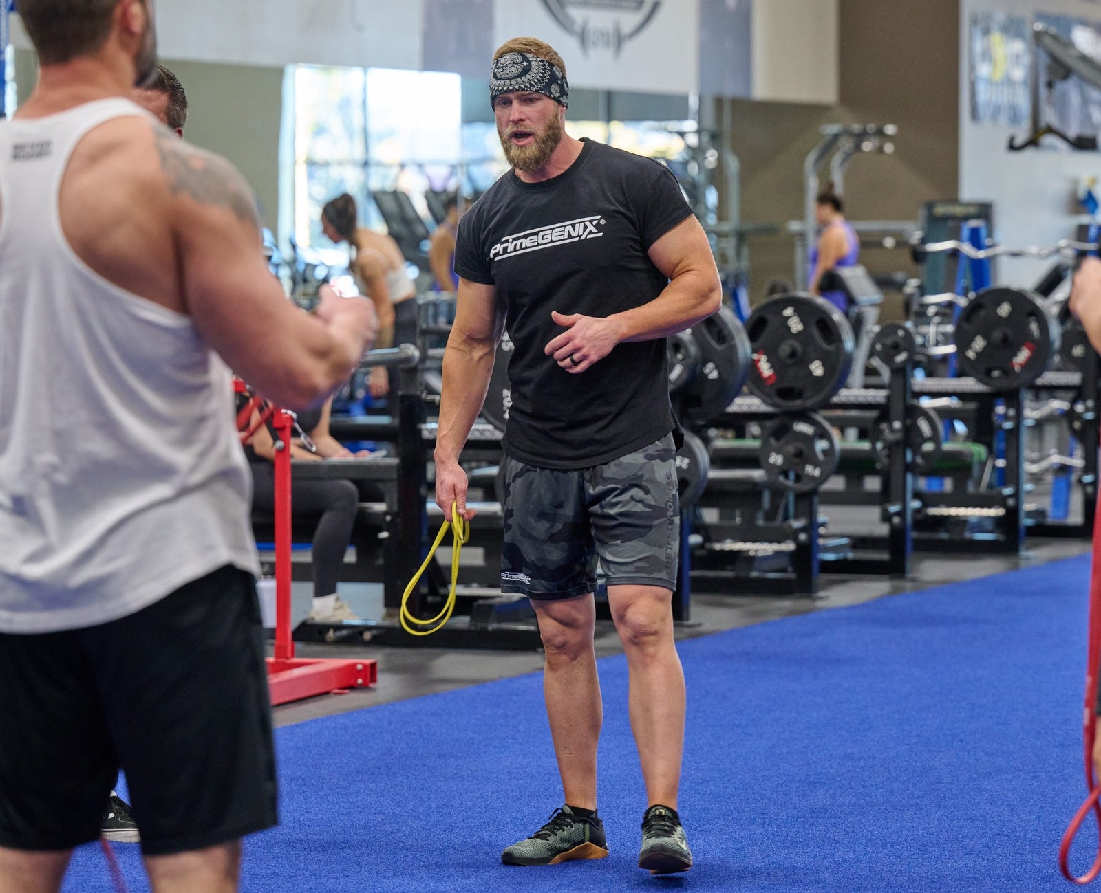 The Definitive Guide to Maintaining and Increasing Testosterone Levels