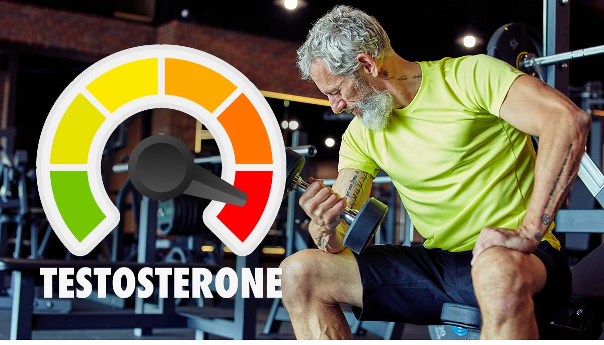 Maintaining Healthy Testosterone Levels After 40: Benefits and Strategies