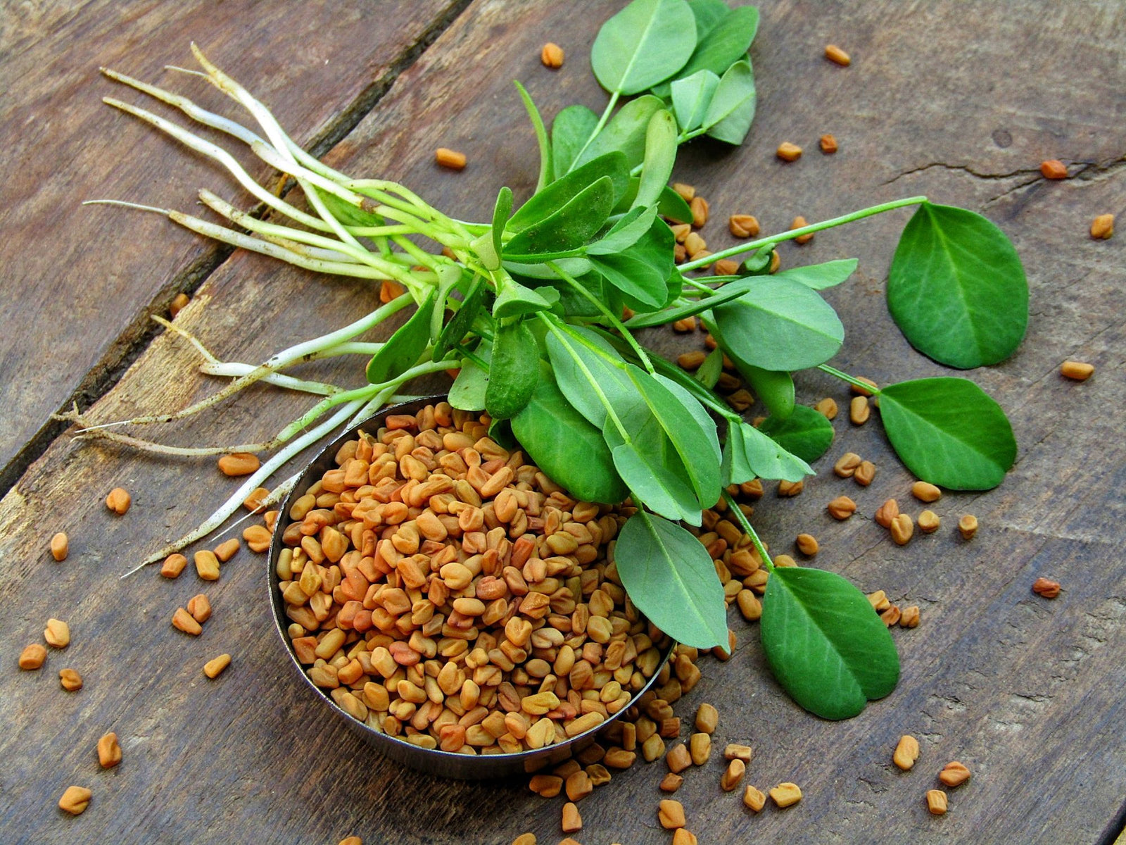 Top 10 Benefits of Fenugreek for Men's Health