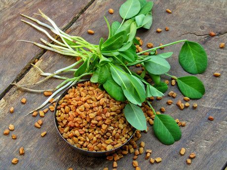 Top 10 Benefits of Fenugreek for Men's Health