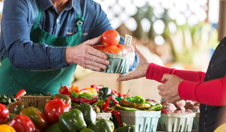 What Foods Help Lower Estrogen Levels?