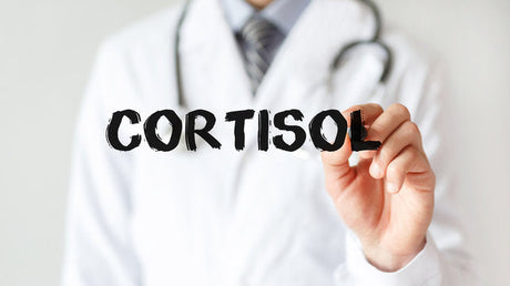What Raises Cortisol Levels?
