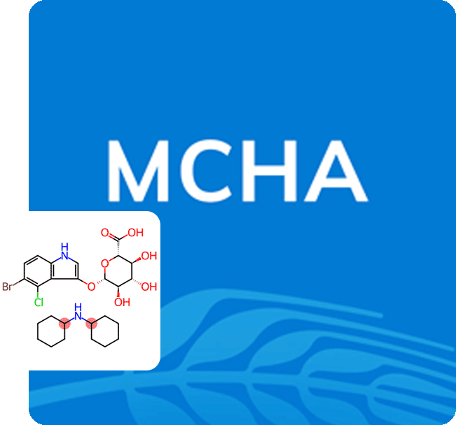 MCHA Molecule