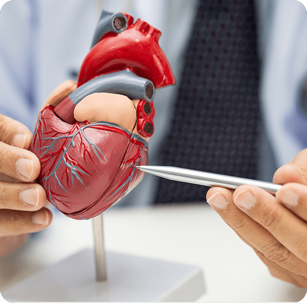 PrimeGENIX Calmlean.