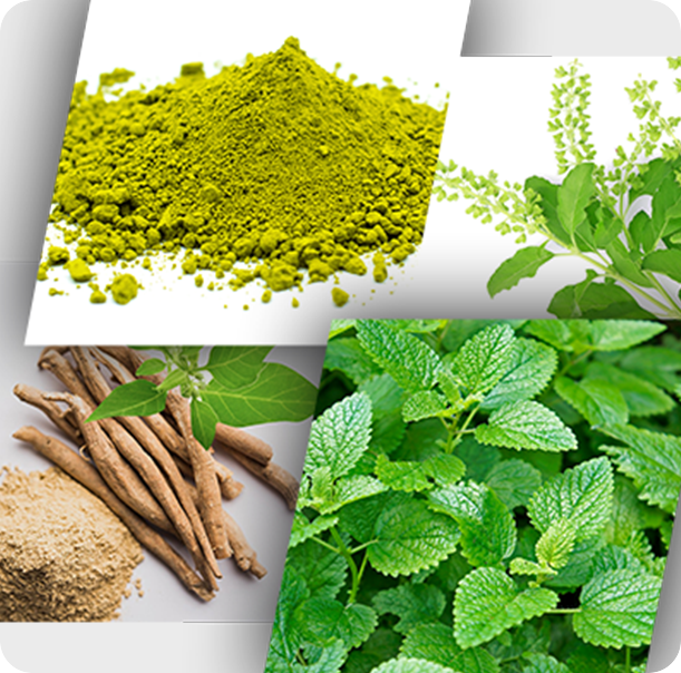 PrimeGENIX Cortisync