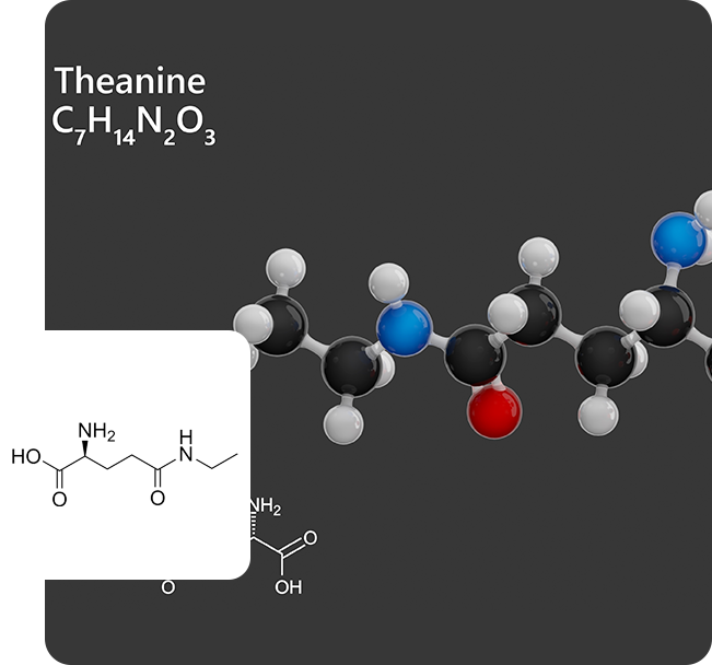 L-Theanine Molecule