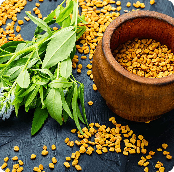 Man standing behind a large testodren bottle while holding dumbbells.