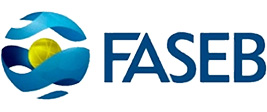 faseb