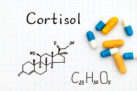 Cortisol molecular structure