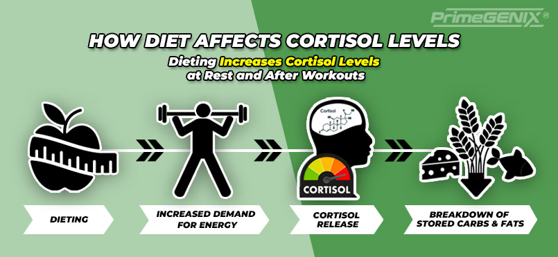 Infographic showing diets effects on cortisol