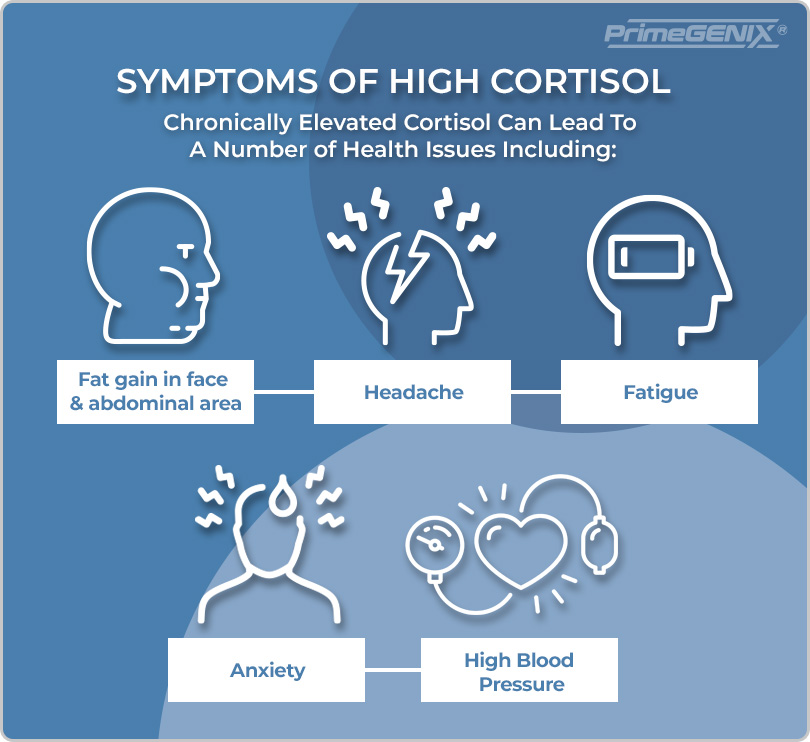 Infographic showing signs of high cortisol