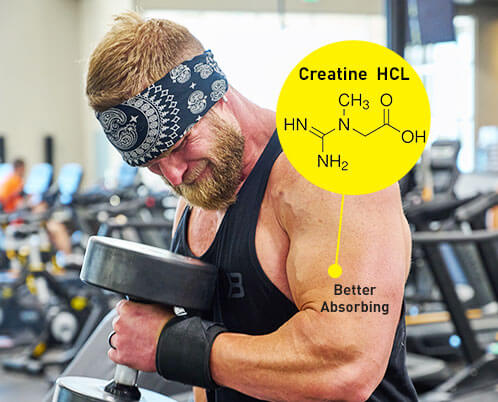 Creatine HCL